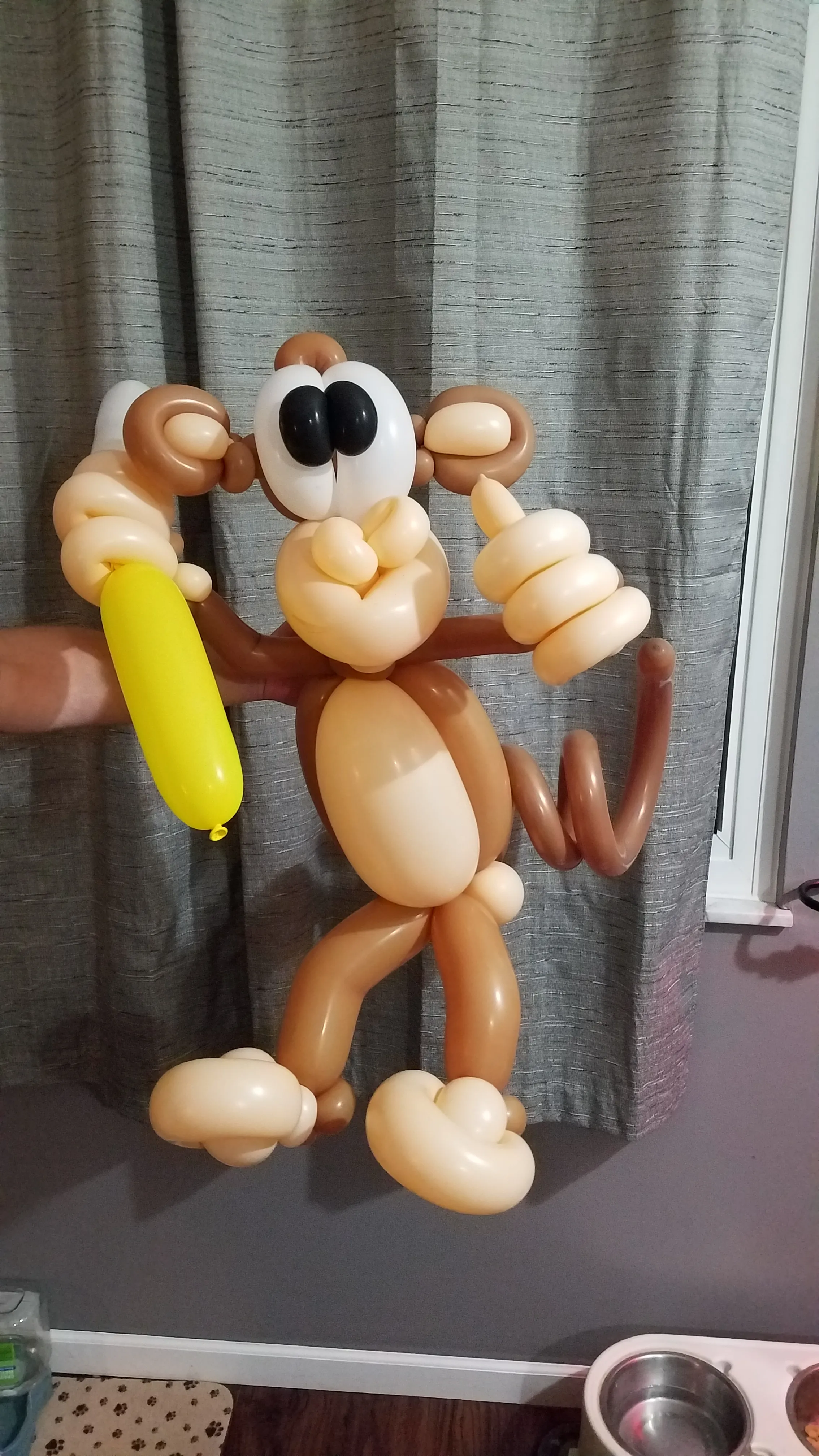 Danimal gallery photo 20190730 221844